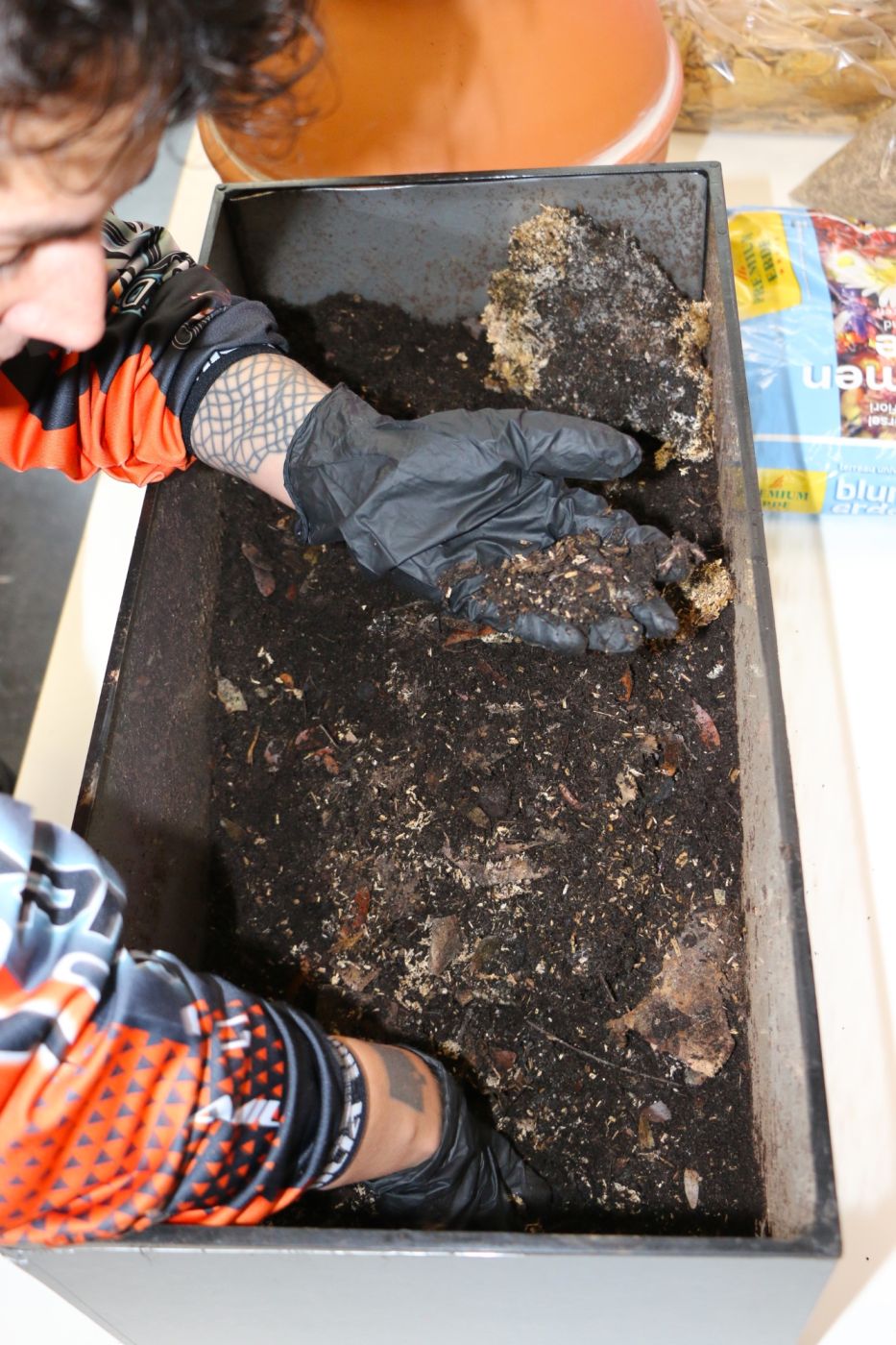Fara working on the worm composter.